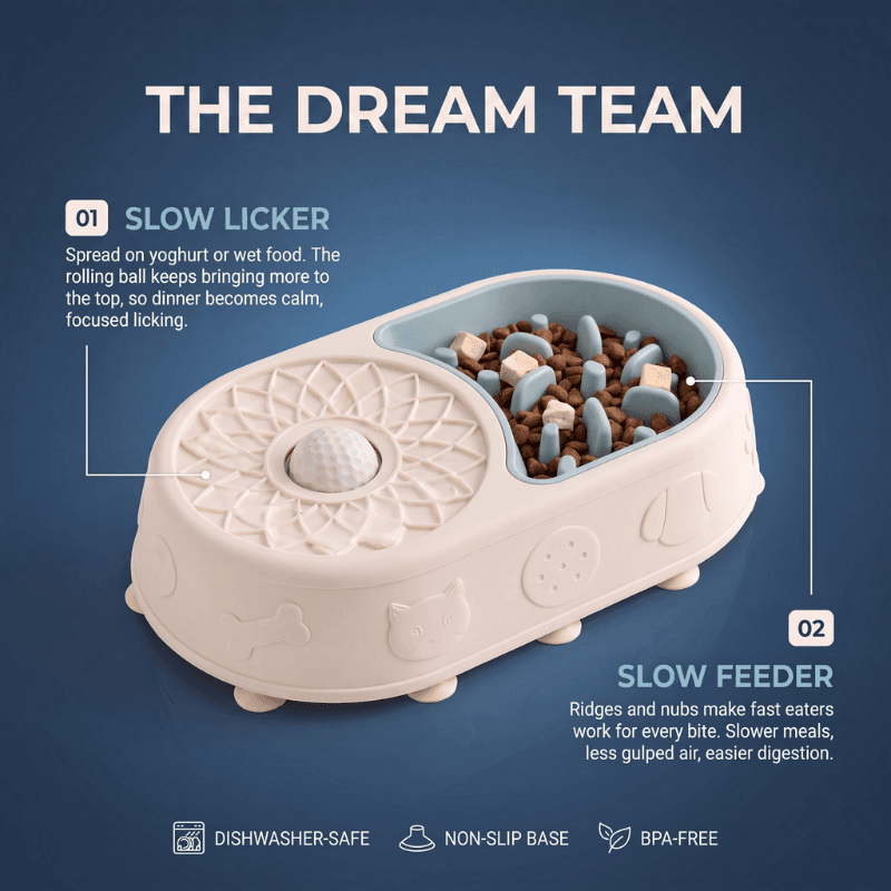 The dream team: the slow-licker side and the slow-feeder side explained