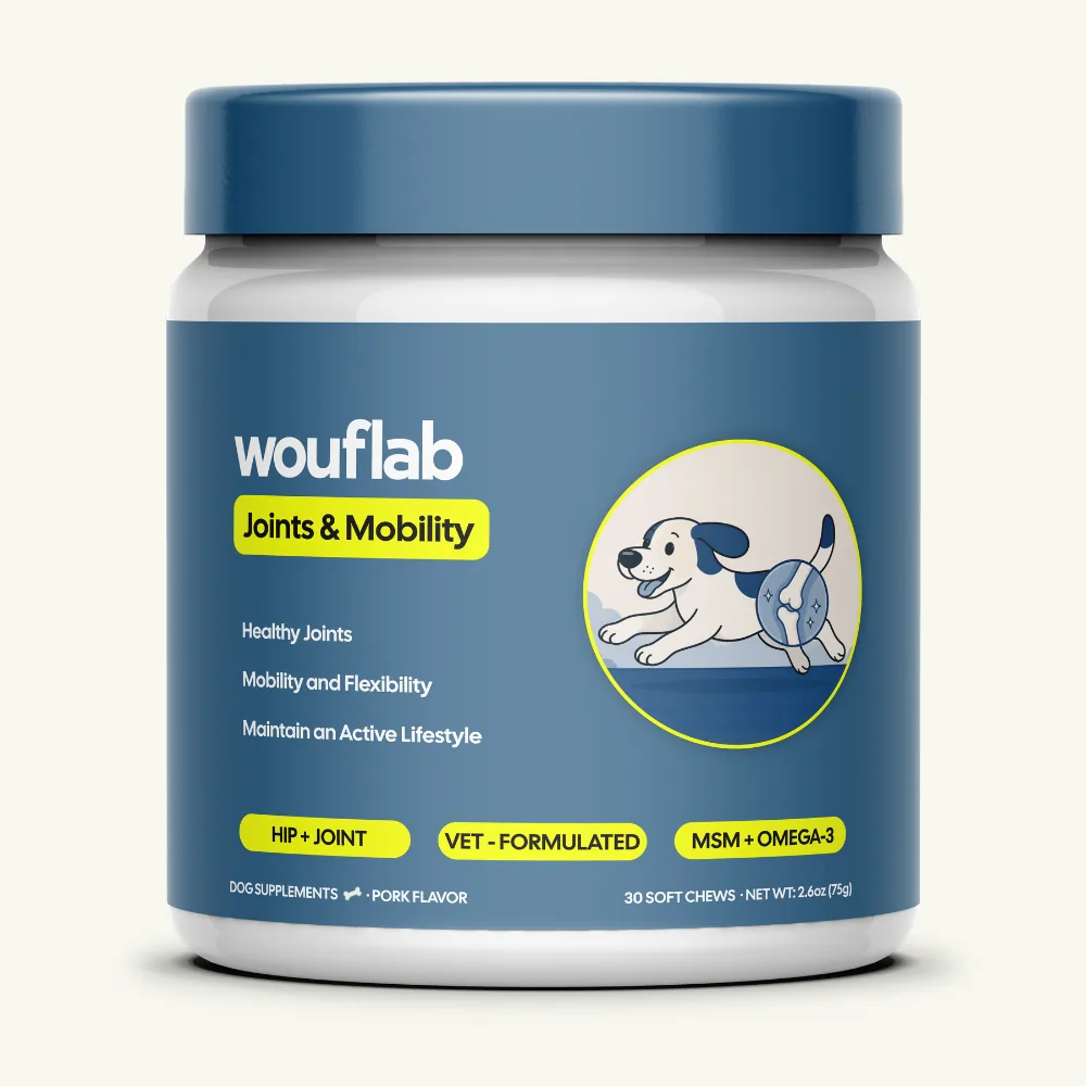 Joints & Mobility jar