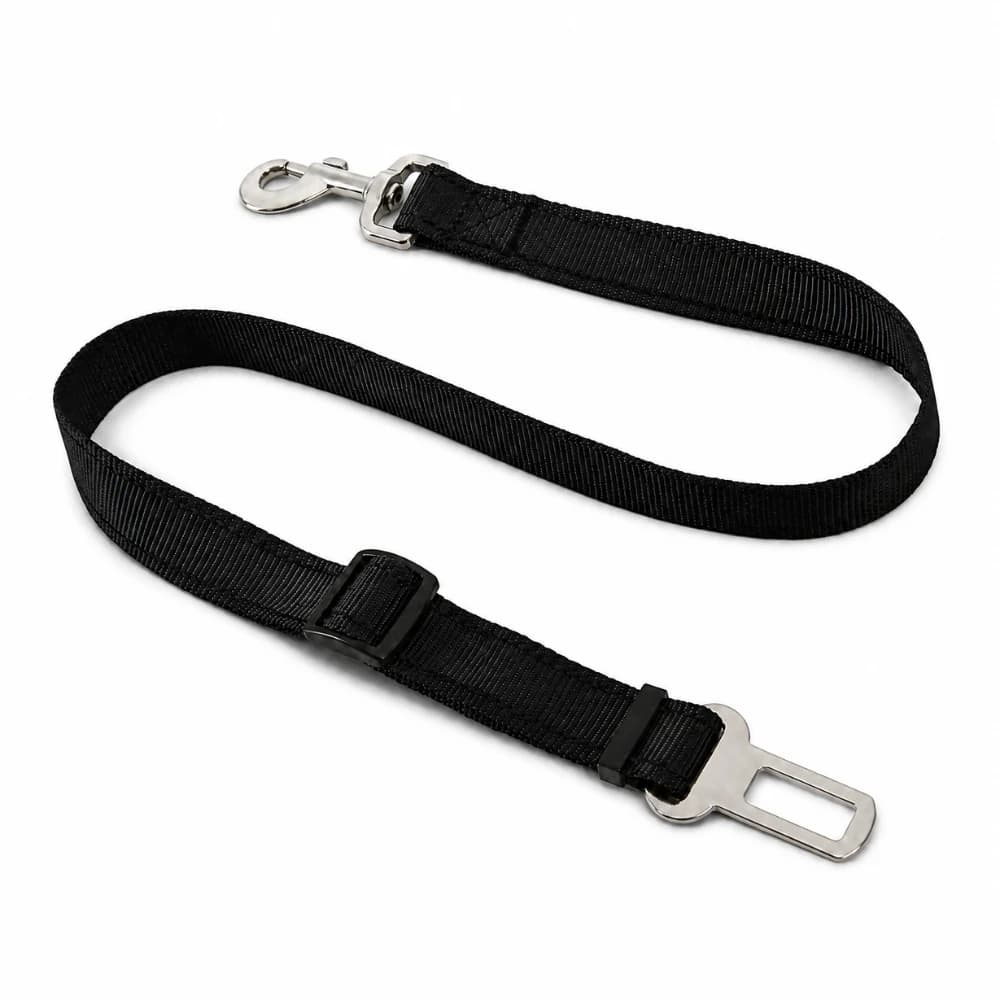 Ceinture de sécurité voiture