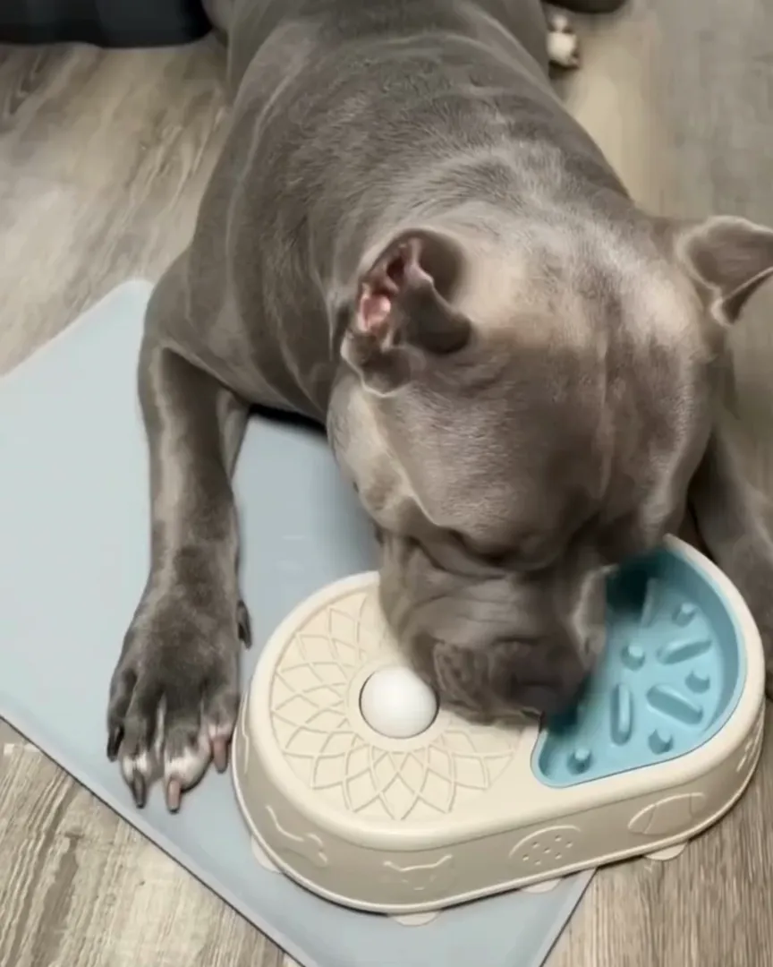 A dog licking the ball on the Calming Bowl