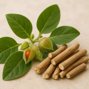 Ashwagandha