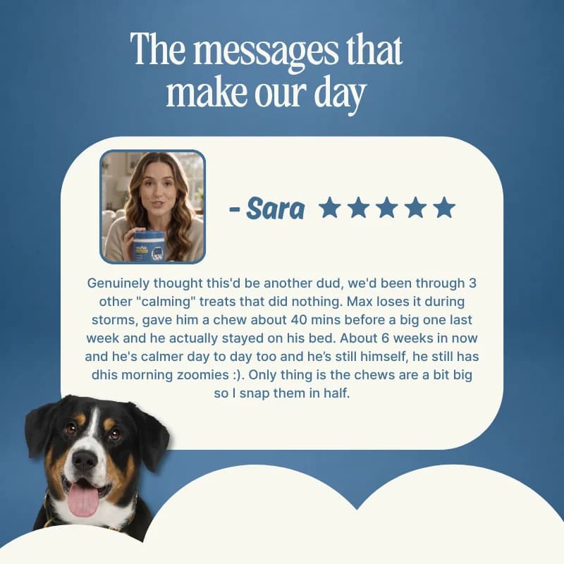 What customers say about Wouflab Calming Chews