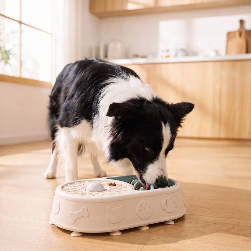 A dog eating dinner from the free slow feeder that comes with every calming bowl