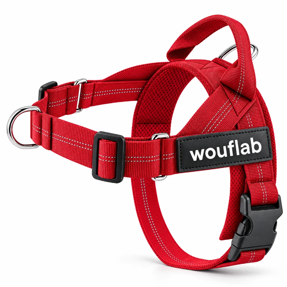 Le harnais anti-traction en rouge, vu de face avec le patch personnalisé et la poignée rembourrée du dos