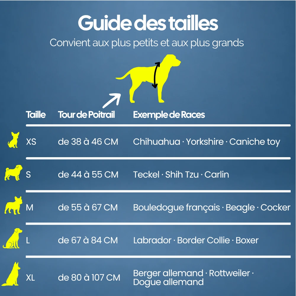 Guide des tailles du harnais, de XS à XL, avec le tour de poitrail en centimètres et des exemples de races pour chaque taille