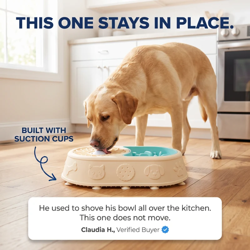 This one stays in place: built with suction cups so the bowl grips the floor while he licks