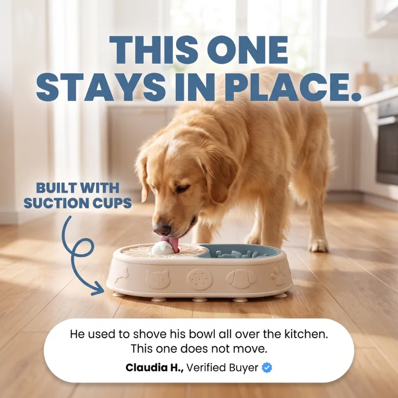 This one stays in place: built with suction cups so the bowl grips the floor while he licks